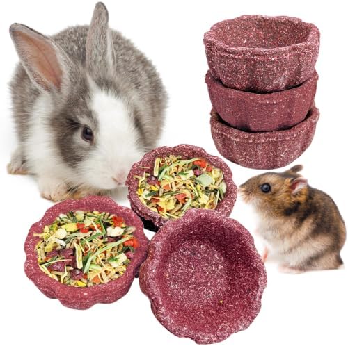 6 Pack Rabbit Chew Toys for Teeth Natural Guinea Pig Toys