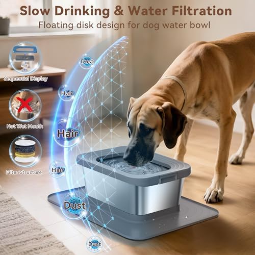 10L No Spill Dog Water Bowl Stainless Steel for Messy Drinkers