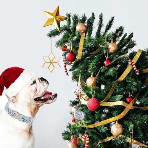 Christmas Dog Collar for Large Dogs - Design Cute Winter Holiday Collars Adjustable Blue Christmas Pet Metal Buckle Collar for Puppy Girl Boy Female Dogs L