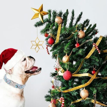 Christmas Dog Collar for Large Dogs - Design Cute Winter Holiday Collars Adjustable Blue Christmas Pet Metal Buckle Collar for Puppy Girl Boy Female Dogs XL