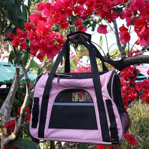 Pink Soft-Sided Cat Carrier, Airline Approved Pets Carrier for Big Cats & Small Dogs, Soft Kitten Travel Bag with Mesh Windows, Animal Carrier Up to 15 Lbs (Pink, Small)