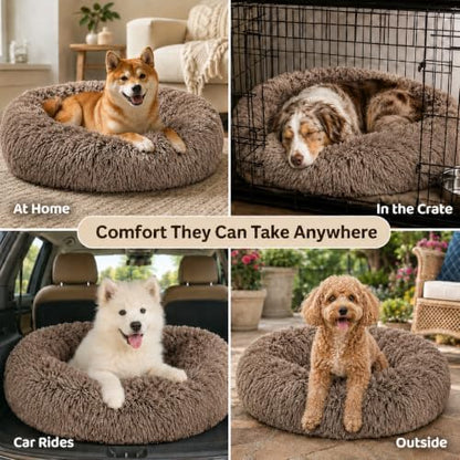 Ghouse Calming Donut Dog Bed for Medium Dogs, 30 in Washable Medium Pet Bed