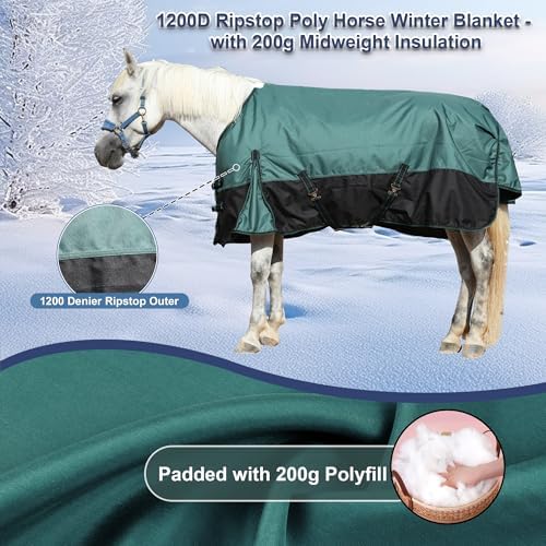 1200D Horse Blanket, 200g Medium Weight Waterproof Winter Turnout