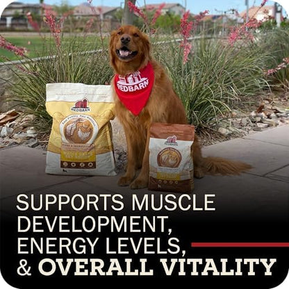 Redbarn Grain-Free Adult Dry Dog Food Kibble - Sky Chicken Recipe - Made in USA No Grains Recipe with Functional Ingredients to Support Healthy Heart, Skin, Coat, Immunity & Digestion - 4lb