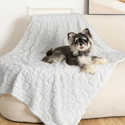 gogobunny Large Pet Blanket for Dogs Cats, Ultra Soft 300GSM Coral Fleece Washable Furniture Protector for Couch Bed Car Seat, Calming Crate Mat Blanket for Large Breeds, Light Grey, 40x50IN