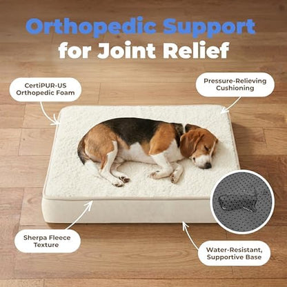 Best Pet Supplies Orthopedic Dog Bed with Memory Foam, Washable Dog Crate Mat for Small, Medium & Large Dogs, Thick Mattress for Crates, Kennels or Floor, Waterproof Pet Bed - Beige, 24 x 16 x 3