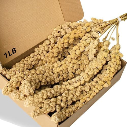 Spray Millet Treat for Birds Parakeets, Millet for Birds, Natural Bird Food