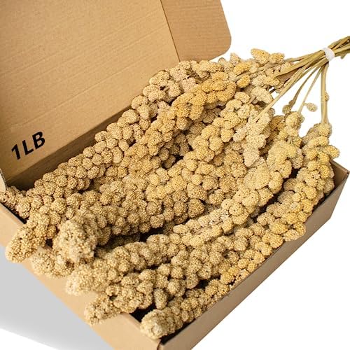 Spray Millet Treat for Birds Parakeets, Millet for Birds, Natural Bird Food