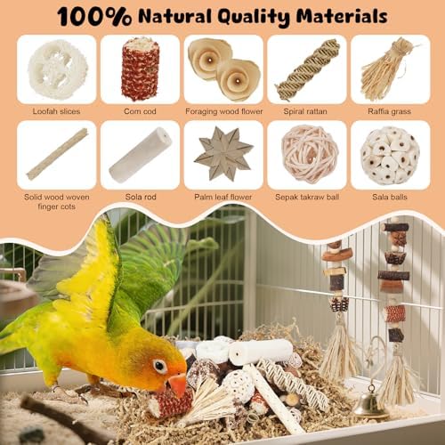 Bird Toys Natural Parrot Foraging Box with DIY Hanging String