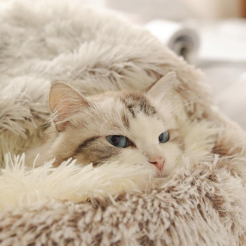 Round Fluffy Hooded Cat Bed Cave, Anti-Anxiety Cave Bed with Blanket