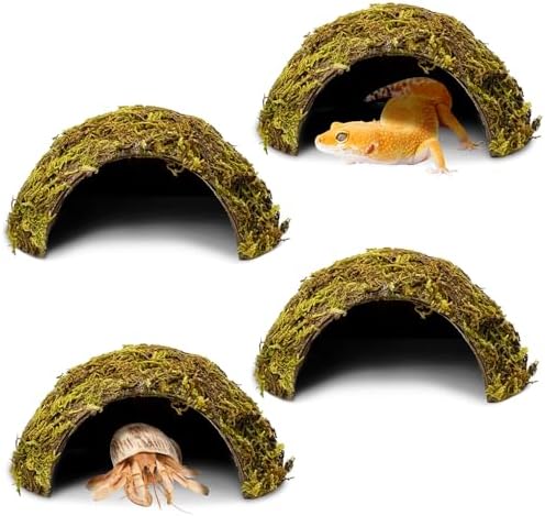 PINVNBY 4 Pack Natural Green Moss Hide Caves Coconut Reptile Hideouts Hamster Climbing Toys Gecko Habitat Decor Lizard Shell Shelter for Snake Tarantulas Turtle Chameleon