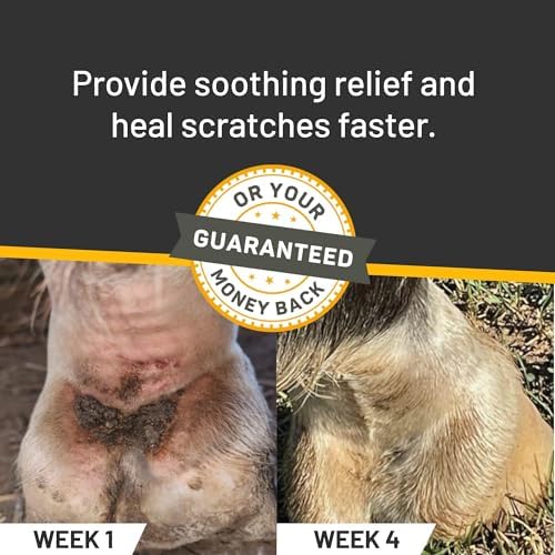 Silver Honey Rapid Skin Relief Equine Scratches Spray, 6 fl oz, Horses Only