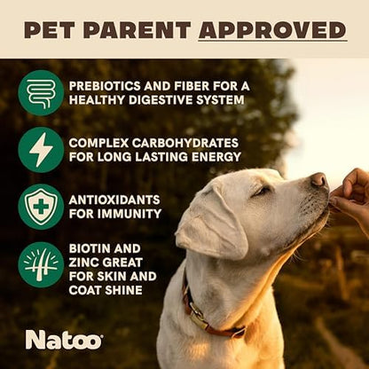 NATOO Healthy Treats for Large Dogs, Coconut & Mango Flavor, 8 oz