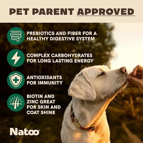 NATOO Healthy Treats for Large Dogs, Coconut & Mango Flavor, 8 oz