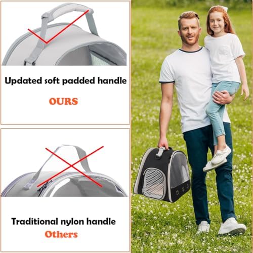 Ventilation Lizard Carrier for Bearded Dragon,Guinea Pig Carrier,Guinea Pig Carrier for 2,Reptile Travel Carrier for Lizards Sugar Glider Hedgehog Rat Parrot Birds,Airline Approved