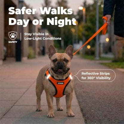 Best Pet Supplies Voyager Step-in Air Harness - All Weather Mesh, Reflective, No Pull Harness for Dogs, Cats - Secure with Hook & Loop Fastener, Buckle, Double D-Rings - Orange/Black Trim, XXS