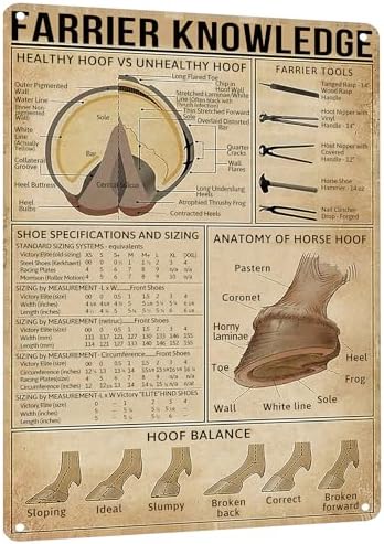HYBLOM Farrier Knowledge Horse Hoof Anatomy Tin Sign - Educational Retro Metal Poster for Horse Lovers, Cowboy, Home, School, Farm, and Club Wall Decor, 12x16 Inches