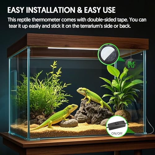 QZQ Reptile Thermometer and Humidity Gauge, Digital Display, 2-Pack Black