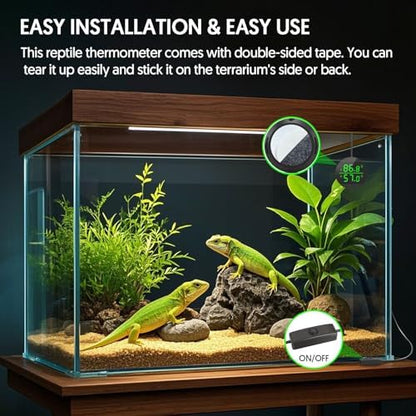 QZQ Reptile Thermometer and Humidity Gauge, Digital Display, 2-Pack Black