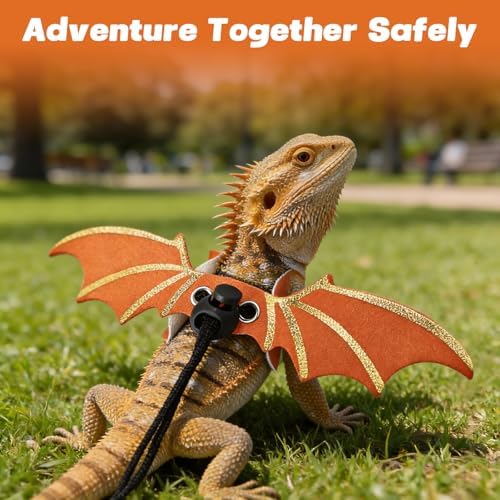 Dinosaur Wing Leash Harness for Bearded Dragons