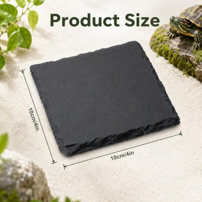 Turtle Slate Rock Reptiles Basking Platform