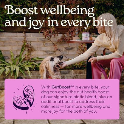 WellJoy Calming Dog Supplement + L-Theanine, Melatonin, GutBoost, 90ct