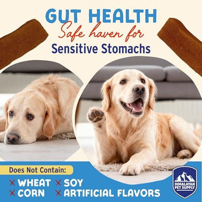 Himalayan Dog Chew Yogurt Sticks, Probiotic Dog Treats, Pumpkin, 5 Treats
