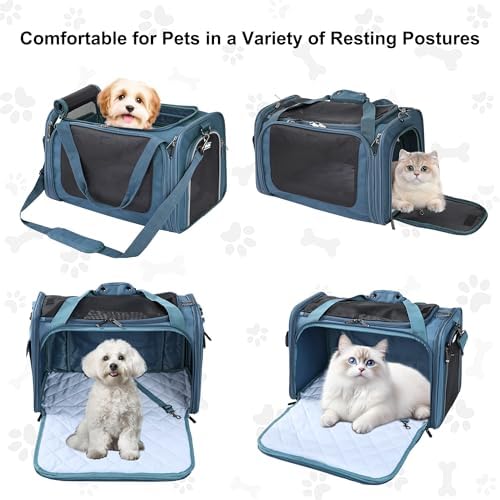 EliteField Deluxe Soft Pet Carrier for Cats and Dogs (3-Year Warranty)