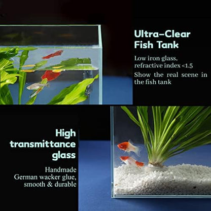 LAQUAL 3 Gallon Ultra Clear Glass Fish Tank and 5 Gallon Aquarium Filter, Rimless Low Iron Aquarium for Betta/Nano/Goldfish/Snail/Shrimp