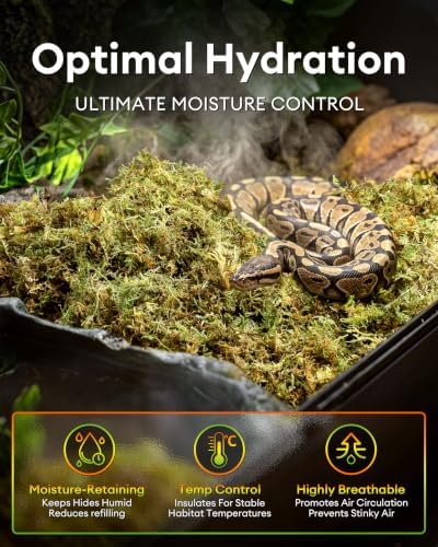 Sphagnum Moss for Reptiles & Plants, 3.5 OZ Terrarium Moss Bedding