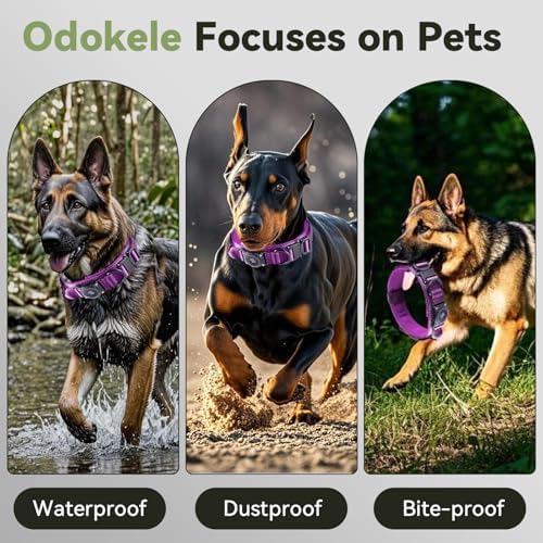 2026 Upgrade Waterproof Tactical AirTag Dog Collar, Built in AirTag Holder