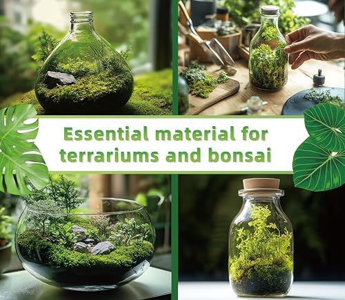 LUCKYRUNES Live Moss for Terrarium Bedding & Reptile Enclosures