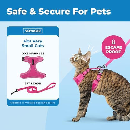 Voyager Escape-Proof Step-in Lock Cat Harness & 5ft Neoprene-Handle Leash Set All-Weather Mesh with Reflective Stitching for Small to Large Cats by Best Pet Supplies, Fuchsia (327), XXS