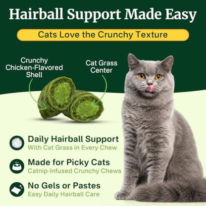 Cat Grass Treats Chews, Cat Treats for Indoor Cats 500 Ct, Hairball Control