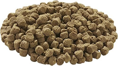 Tetra TetraFauna Hermit Crab Cakes Food Pellets for All Land Crabs, 1.58 oz
