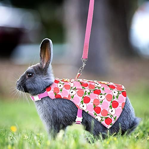 3 Sets Rabbit Bunny Harness and Leash Gift, Peach, Pineapple, Strawberry