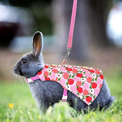 3 Sets Rabbit Bunny Harness and Leash Gift, Peach, Pineapple, Strawberry