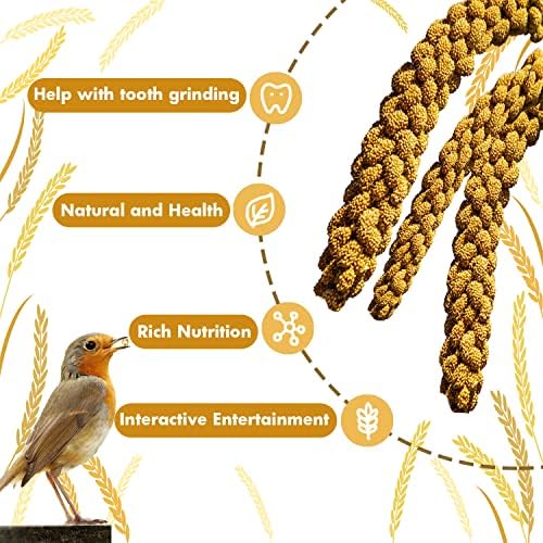 Spray Millet Treat for Birds Parakeets, Millet for Birds, Natural Bird Food