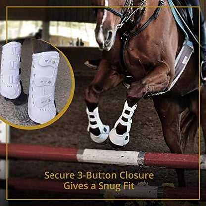 Kavallerie Classic Tendon Boots, Impact-Absorbing Material, Breathable & Evenly Distribute Pressure, Protect Tendon and Ligaments, Anti-Slip, Anti- Sore and Moisture Repellant Show Jumping Boots