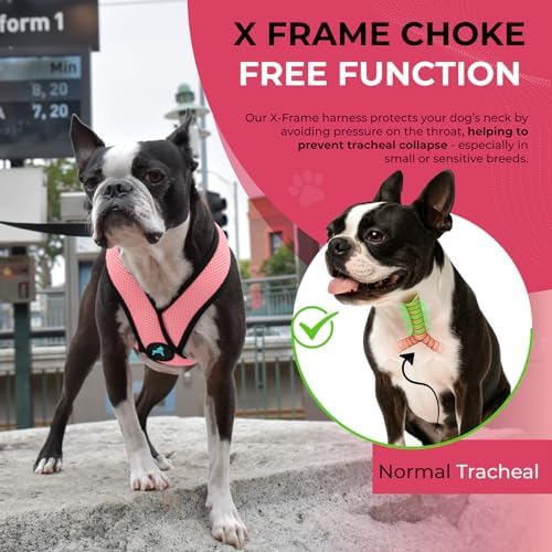 Gooby Comfort X Head-in Dog Harness, Choke-Free, Pink, Small