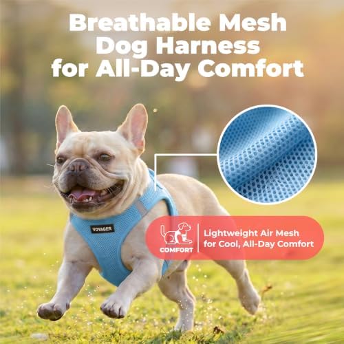 Voyager Step-in Air Dog Vest Harness - Sky Blue, Large