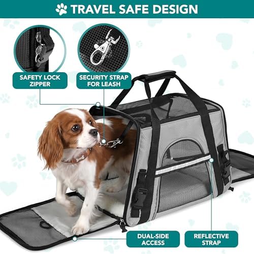 PetAmi Airline Approved Pet Carrier for Cats & Small Dogs, Small Light Gray