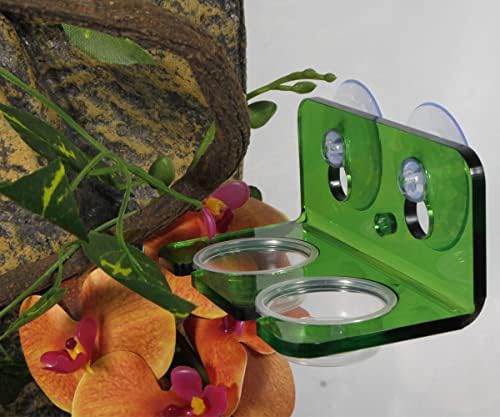 200Pcs Crested Gecko Food Dish, 0.5oz Plastic Reptile Feeding Cups