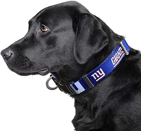 Littlearth NFL Detroit Lions Pet Premium Collar, Team Color, Small
