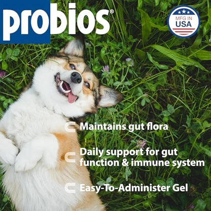 Probios Probiocin Oral Gel for Dogs & Cats, 15 g Tube, 2-Pack
