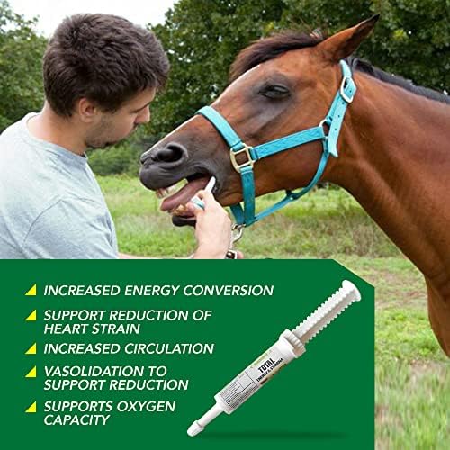 Ramard Total Energy and Stamina Support with B Vitamins & Amino Acids, Maximizes Oxygen Capacity, Peak Performance in Competition or Workouts, Powerful Vasodilator, Oral Gel, 15 cc Syringe, 1-Pack