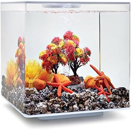 biOrb Autumn Décor Set, Orange and Red, Themed Collection of Fish Friendly Aquarium Decorations