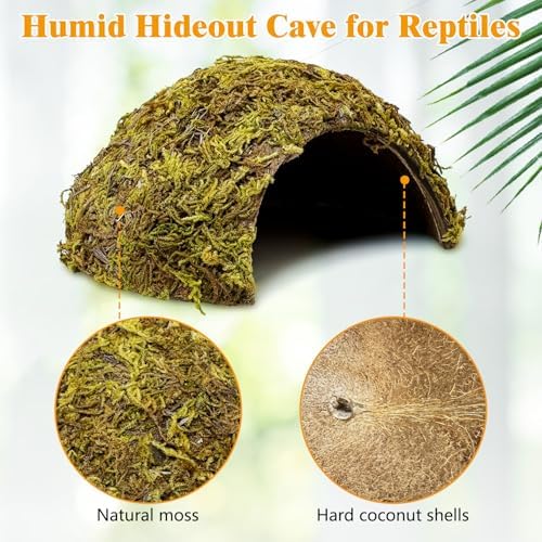 PINVNBY 2 Pack Natural Green Moss Hide Caves Coconut Reptile Hideouts Hamster Climbing Toys Gecko Habitat Decor Lizard Shell Shelter for Snake Tarantulas Turtle Chameleon