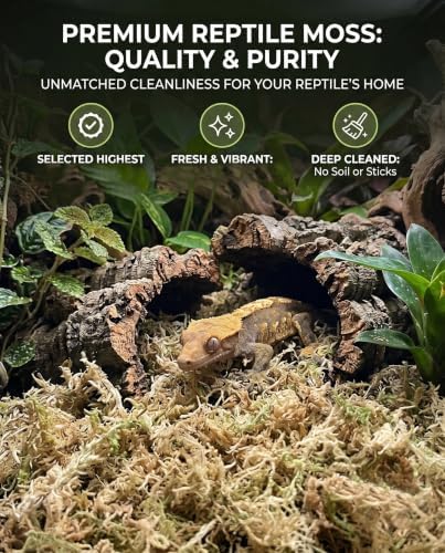 Sphagnum Moss for Reptiles & Plants, 3.4 OZ Terrarium Moss Bedding
