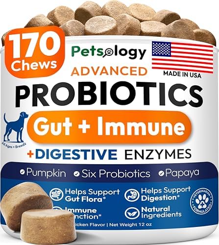 Probiotics for Dogs - 170 Dog Probiotics Chews - Digestive Enzymes Support